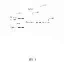 Fig. 02 - SERVER AND POWER MANAGEMENT METHOD