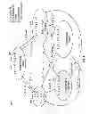 Fig. 07 - UTILIZING BACKWARD DEFECT INDICATIONS IN Y-CABLE PROTECTION SWITCHING