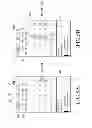 Fig. 06 - ELECTRONIC APPARATUS DISPLAYING REPRESENTATIVE INFORMATION AND CONTROL METHOD THEREOF