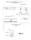 Fig. 09 - Identifying implicit assumptions associated with a software product