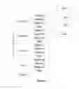 Fig. 03 - TEN LEVEL ENTERPRISE ARCHITECTURE HIERARCHICAL EXTENSIONS