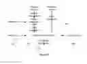 Fig. 41 - TEN LEVEL ENTERPRISE ARCHITECTURE HIERARCHICAL EXTENSIONS