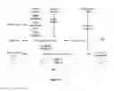 Fig. 42 - TEN LEVEL ENTERPRISE ARCHITECTURE HIERARCHICAL EXTENSIONS