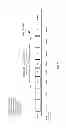Fig. 08 - Variability in available levels of quality of encoded content