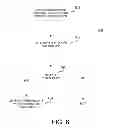 Fig. 07 - Risk ranking referential links in electronic messages