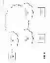 Fig. 06 - Multilayered deception for intrusion detection and prevention