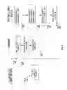 Fig. 09 - Method and apparatus for securely providing postal address data to client devices