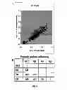 Fig. 05 - Agronomically elite soybeans with high β-conglycinin content
