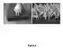 Fig. 02 - ROOT SOAKING METHOD TO PRODUCE DOUBLE HAPLOID INBRED LINES IN CORN