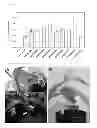 Fig. 02 - METHOD FOR INCREASING OR DECREASING THE DEVELOPMENT OF SYLLEPTIC OR PROLEPTIC BRANCHING IN A LIGNEOUS PLANT