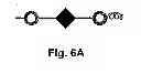 Fig. 09 - Multi-Gene Expression Vehicle