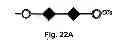 Fig. 41 - Multi-Gene Expression Vehicle