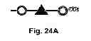 Fig. 45 - Multi-Gene Expression Vehicle