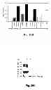 Fig. 50 - Multi-Gene Expression Vehicle