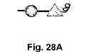 Fig. 52 - Multi-Gene Expression Vehicle