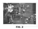 Fig. 03 - Apple tree named 'REGAL 11-79'