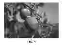 Fig. 05 - Apple tree named 'Regal 13-82'
