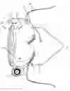 Fig. 08 - APPARATUSES, SYSTEMS AND METHODS FOR PROVIDING PROTECTION AGAINST HAZARDS