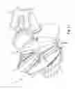 Fig. 09 - Goal tender glove