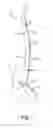 Fig. 07 - Goal tender leg pad