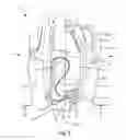 Fig. 08 - Goal tender leg pad