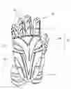 Fig. 01 - Lacrosse glove