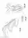 Fig. 03 - Lacrosse glove