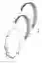 Fig. 07 - Head band