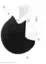 Fig. 02 - MAGNETIC HELMET