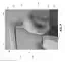 Fig. 09 - Child's Potty Ring