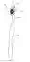 Fig. 01 - Oral care implement