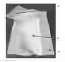 Fig. 01 - MULTI-LAYERED CLEANING CLOTH