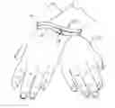 Fig. 01 - APPARATUS FOR USE AS A LIMB RESTRAINT