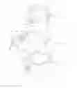 Fig. 06 - Burnishing unit