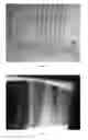 Fig. 02 - Marking template for radiography