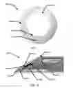 Fig. 05 - Method of forming a patterned multi-piece insert for an ophthalmic lens