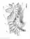 Fig. 05 - Absorbent media element for a vehicle wash component