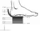 Fig. 01 - Shoe sole and insole
