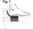 Fig. 02 - Shoe sole and insole
