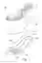 Fig. 02 - AIR-CUSHIONED HEEL WITH BREATHING FUNCTION