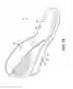 Fig. 09 - Footwear With Transformation System