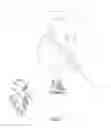 Fig. 07 - Skate boot having a tendon guard with a recess