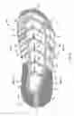 Fig. 03 - FOOTWEAR WITH PONTOON SOLE STRUCTURE