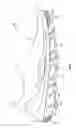 Fig. 05 - FOOTWEAR WITH PONTOON SOLE STRUCTURE