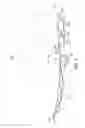 Fig. 05 - Foot support structure and articles incorporating same