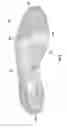 Fig. 06 - 3D zonal compression shoe
