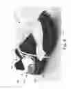 Fig. 07 - FOOTWEAR ARTICLE HAVING A TEMPERATURE REGULATION SYSTEM