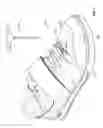 Fig. 02 - FOOTWEAR INCLUDING A UNIVERSAL CLEAT ASSEMBLY