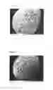 Fig. 02 - Growth substrate for plants