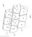 Fig. 08 - Building unit with mating sides
